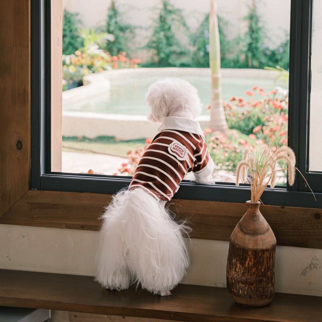 Summer striped shirt - Classic vertical pattern breathable design