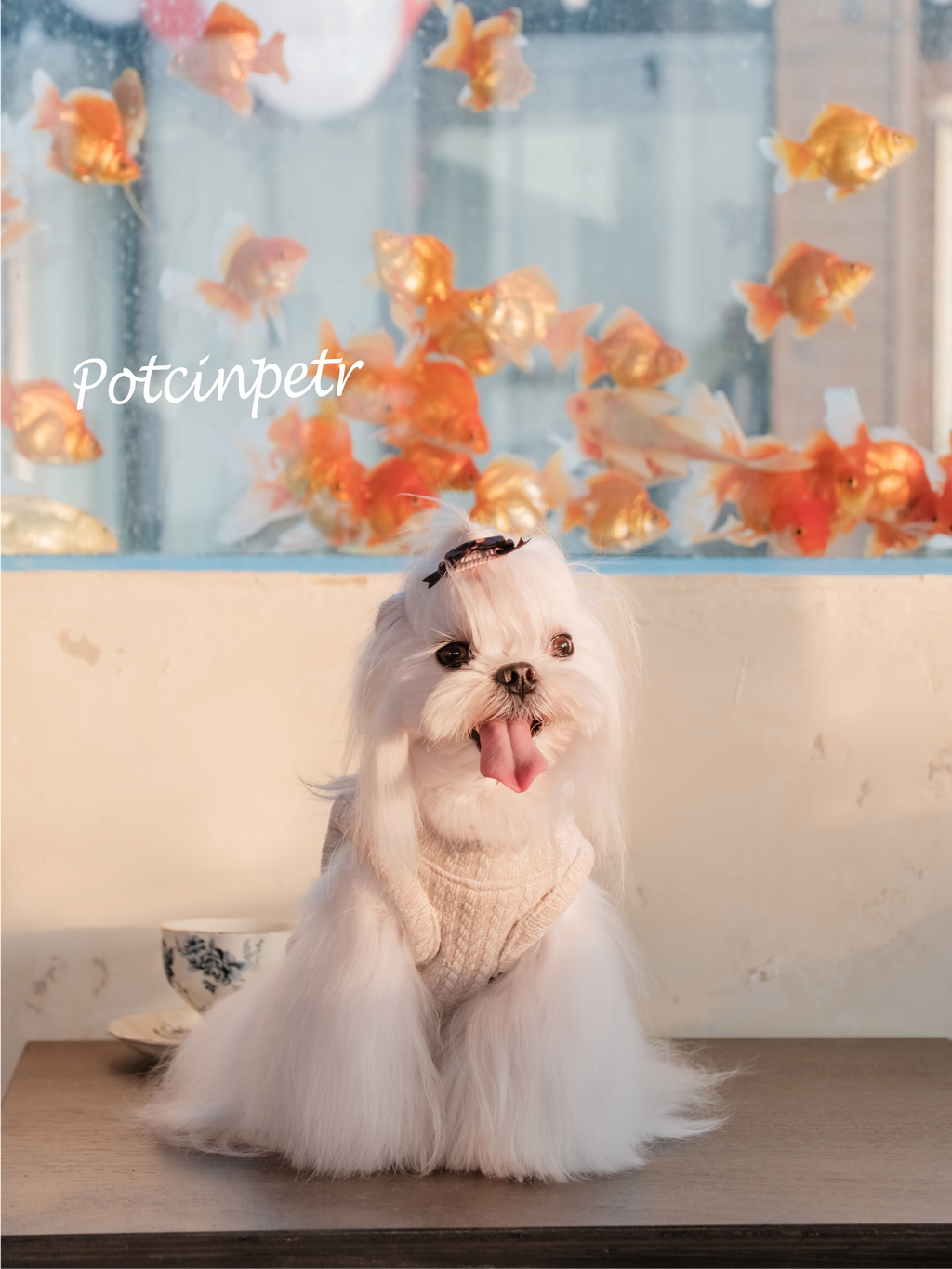 This British-style sweater is made of warm wool