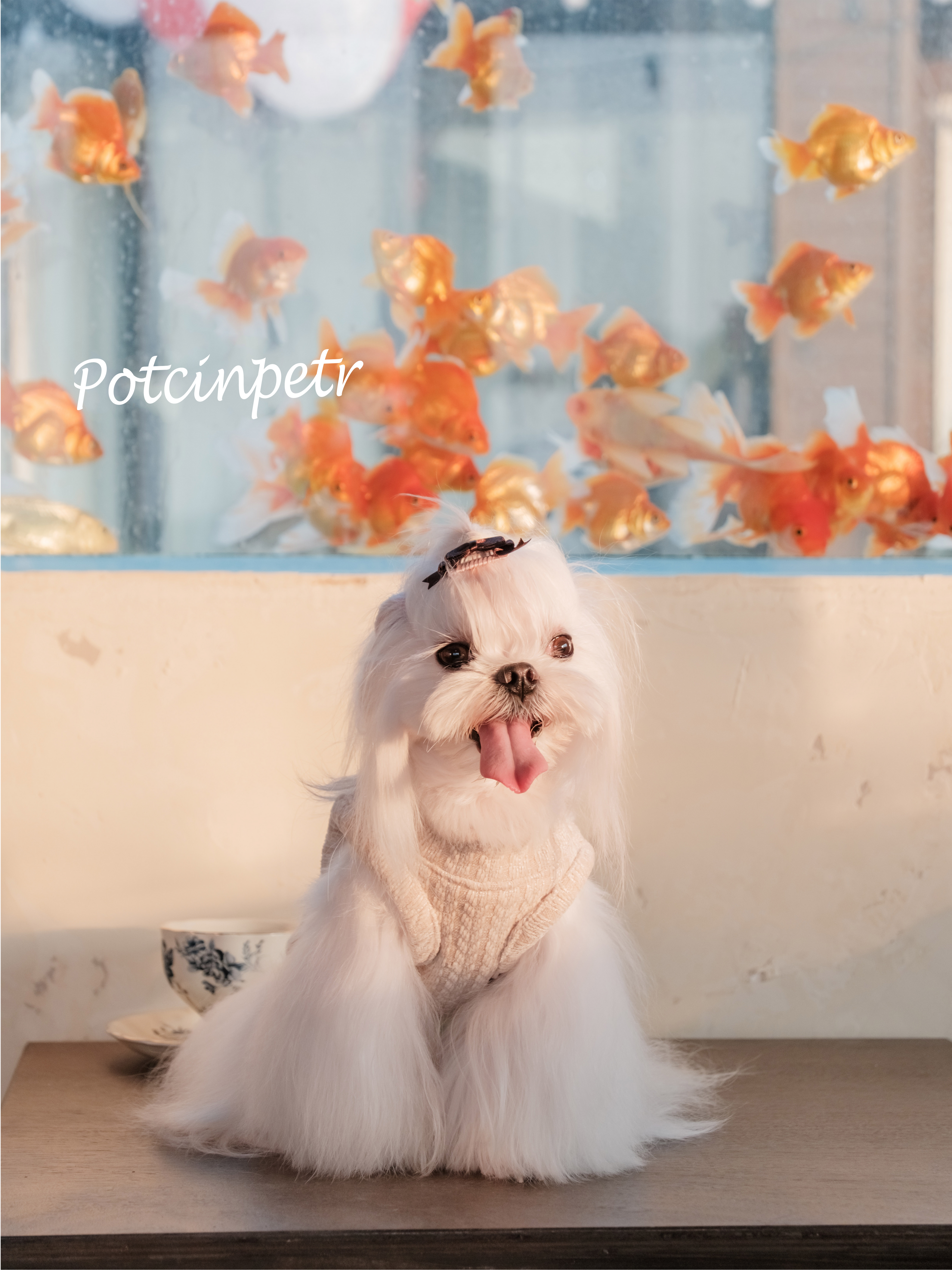 This British-style sweater is made of warm wool