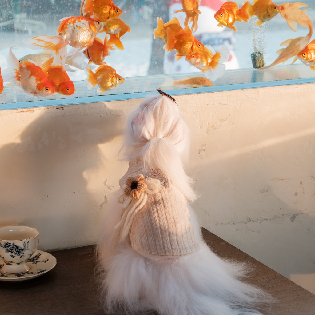 This British-style sweater is made of warm wool