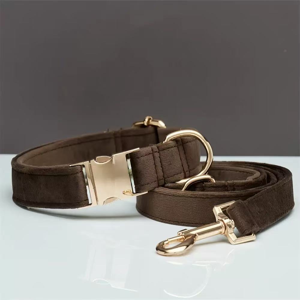 VELVET METAL BUCKLE COLLAR