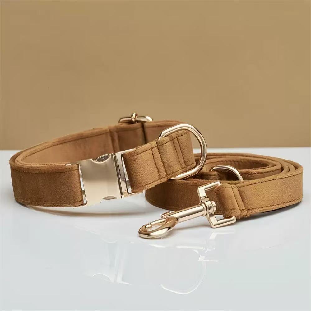 VELVET METAL BUCKLE COLLAR