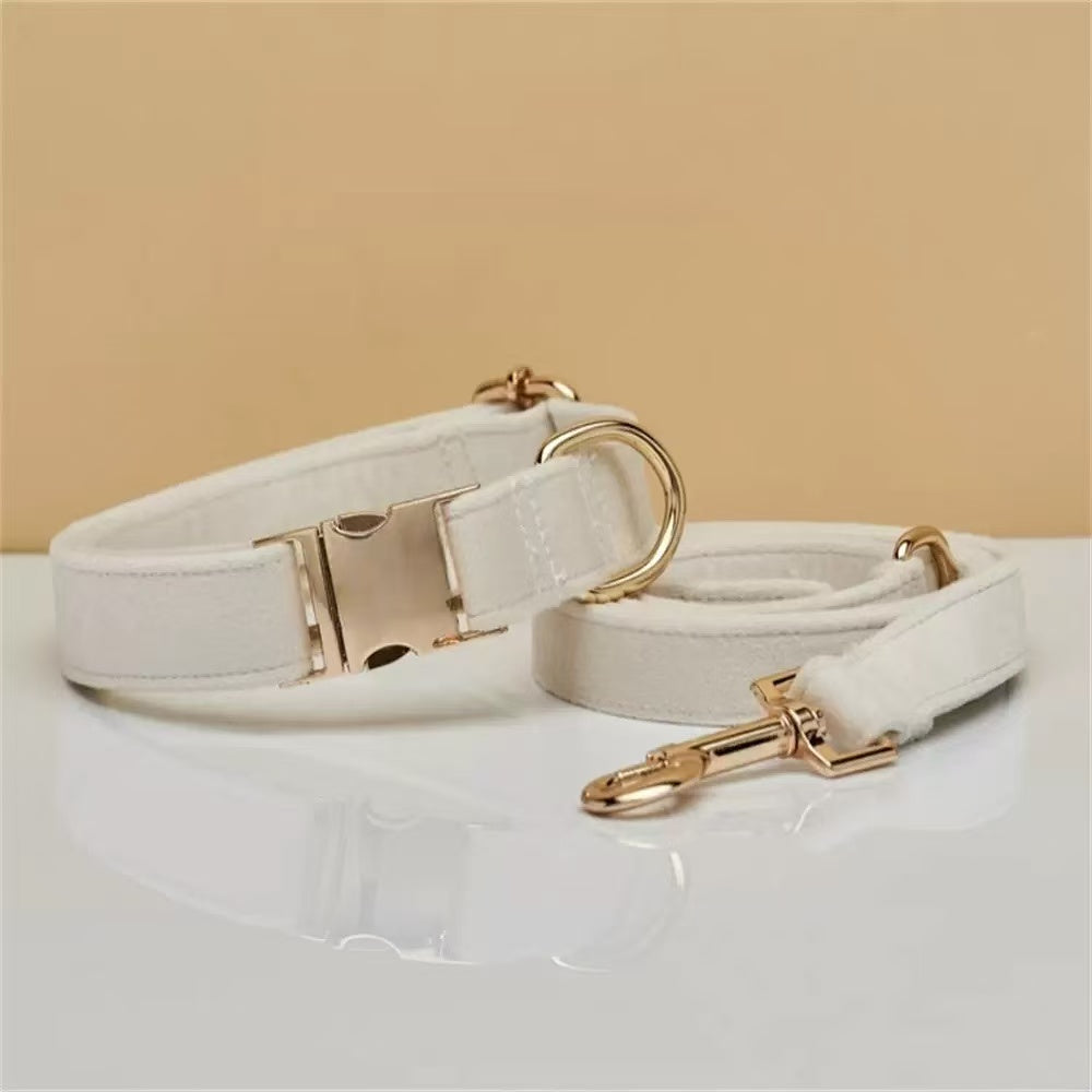 VELVET METAL BUCKLE COLLAR