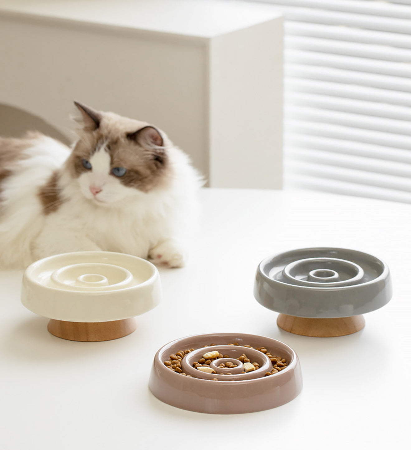 CERAMIC SLOW FOOD BOWL