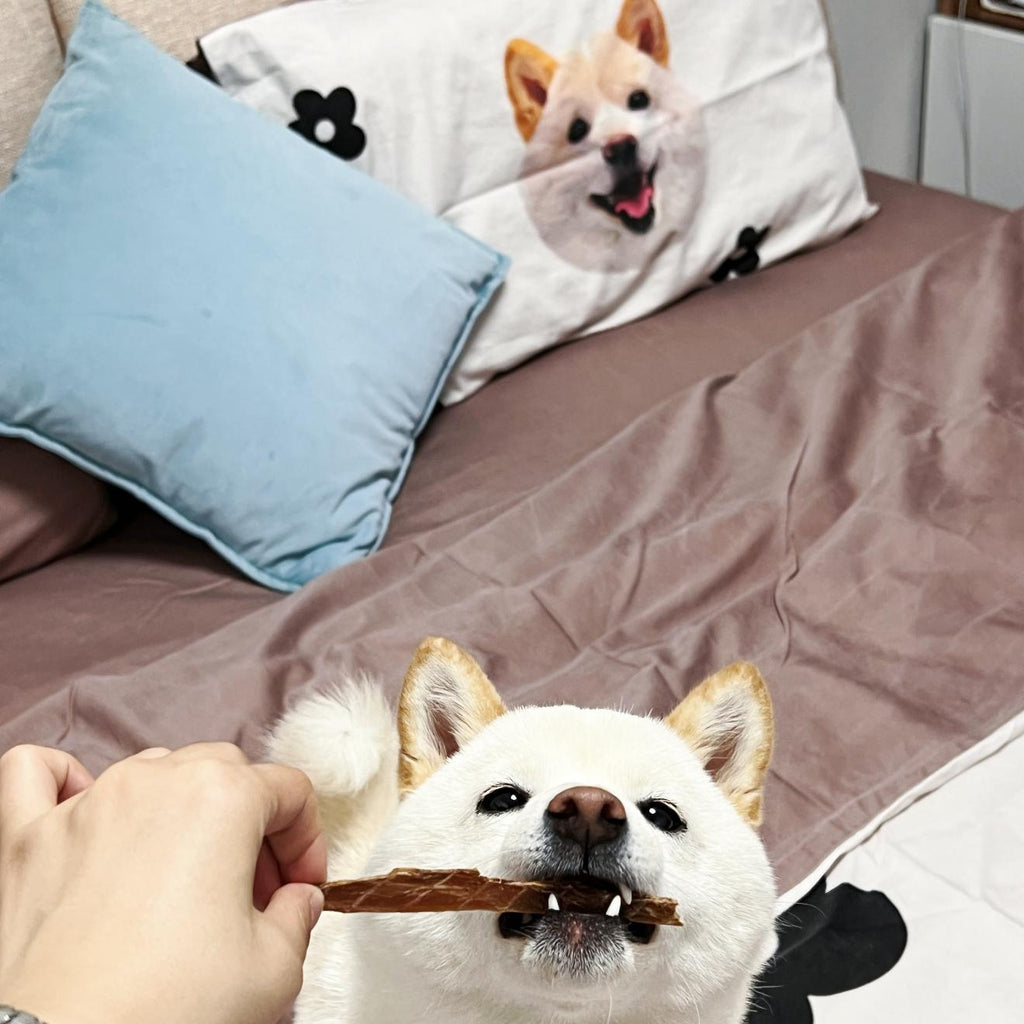 "Personalized Pet Bedding Set - Custom Name 4-Piece Luxury Bedding Collection for Dogs & Cats"