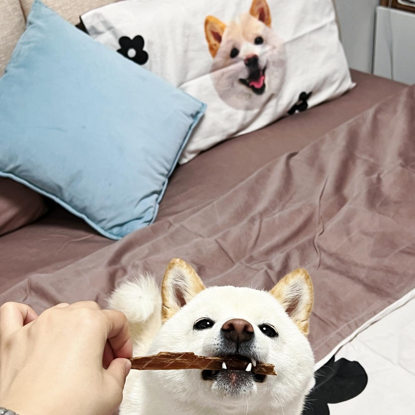 "Personalized Pet Bedding Set - Custom Name 4-Piece Luxury Bedding Collection for Dogs & Cats"