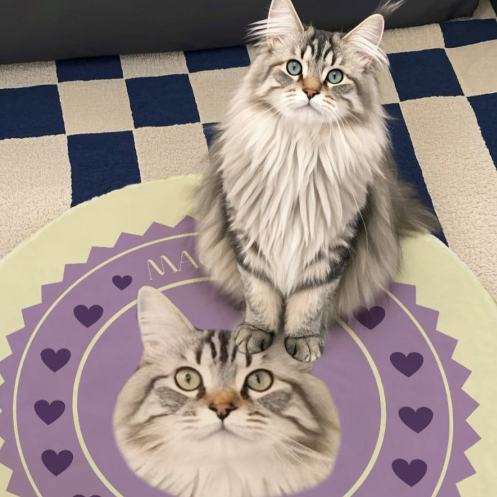 Custom Pet Portrait Rug - Handmade Personalized Dog/Cat Rug