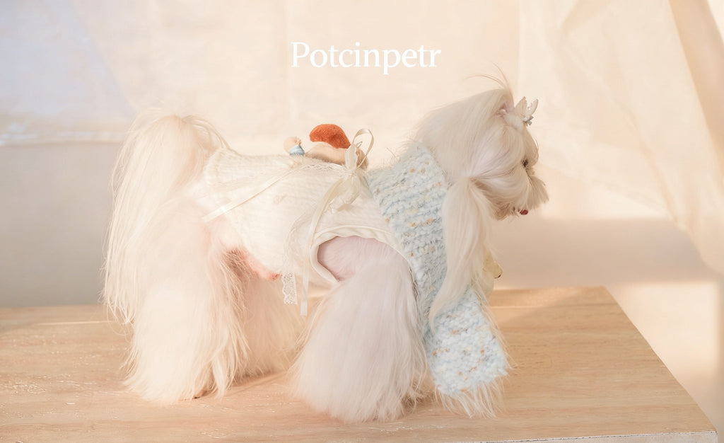 Pet cashmere sweater: Cute doll decoration for a warm winter outfit