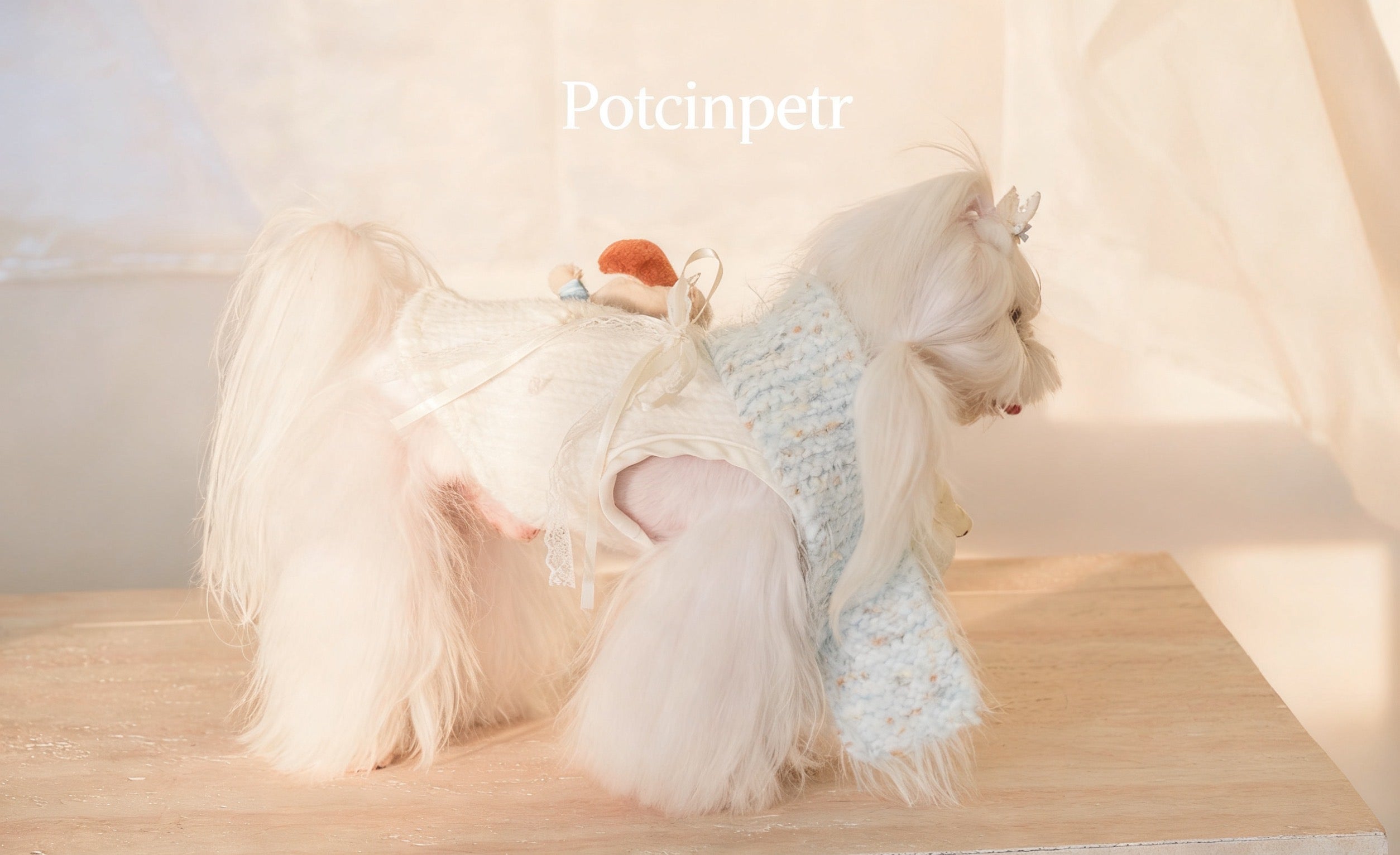 Pet cashmere sweater: Cute doll decoration for a warm winter outfit