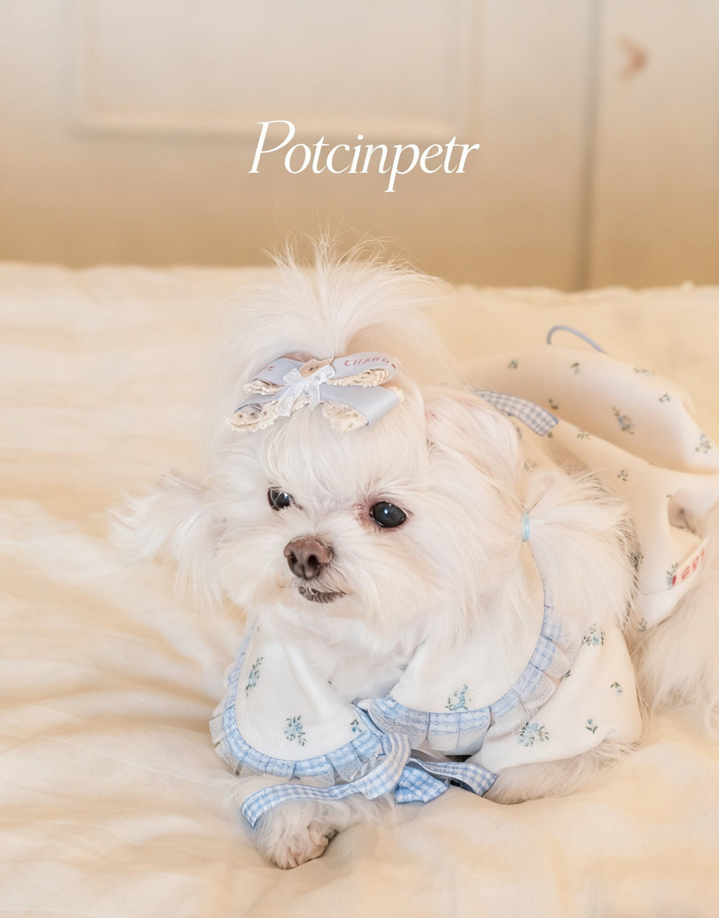 Pet floral figure-hugging skirt: Adjustable hip circumference in blue and purple floral patterns