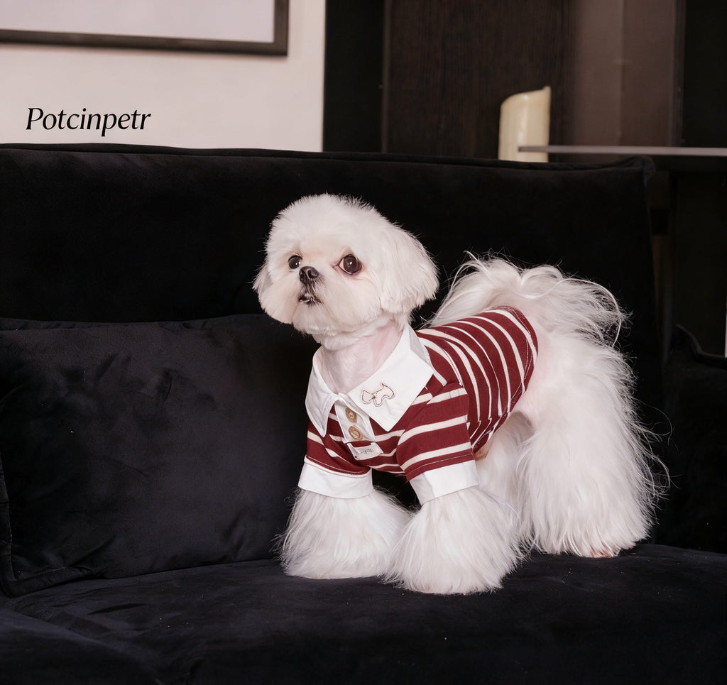 Summer striped shirt - Classic vertical pattern breathable design