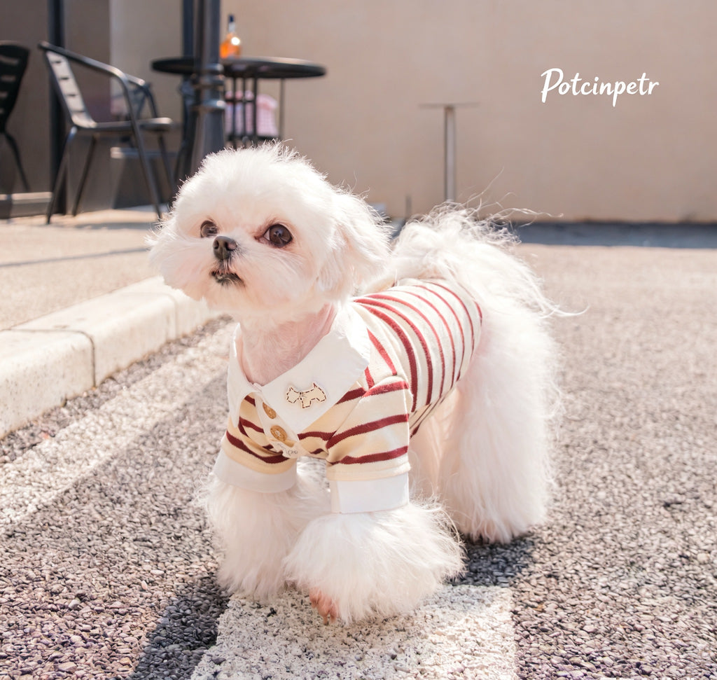 Summer striped shirt - Classic vertical pattern breathable design