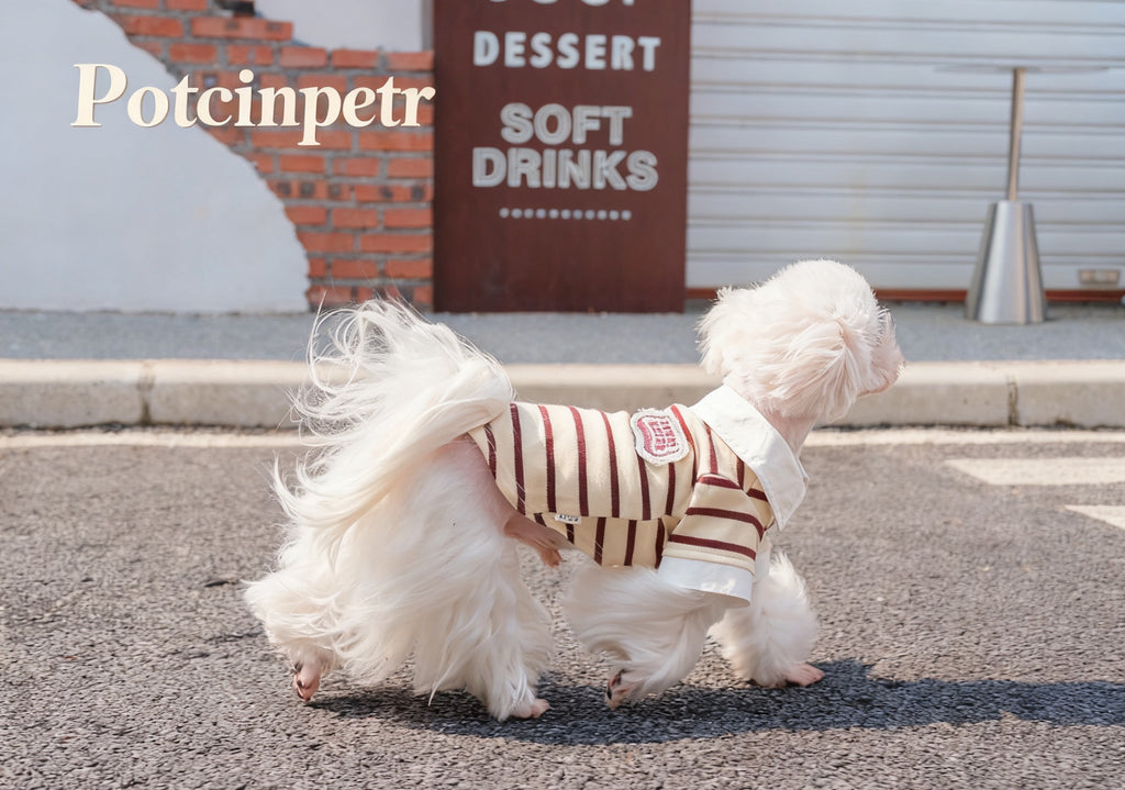 Summer striped shirt - Classic vertical pattern breathable design