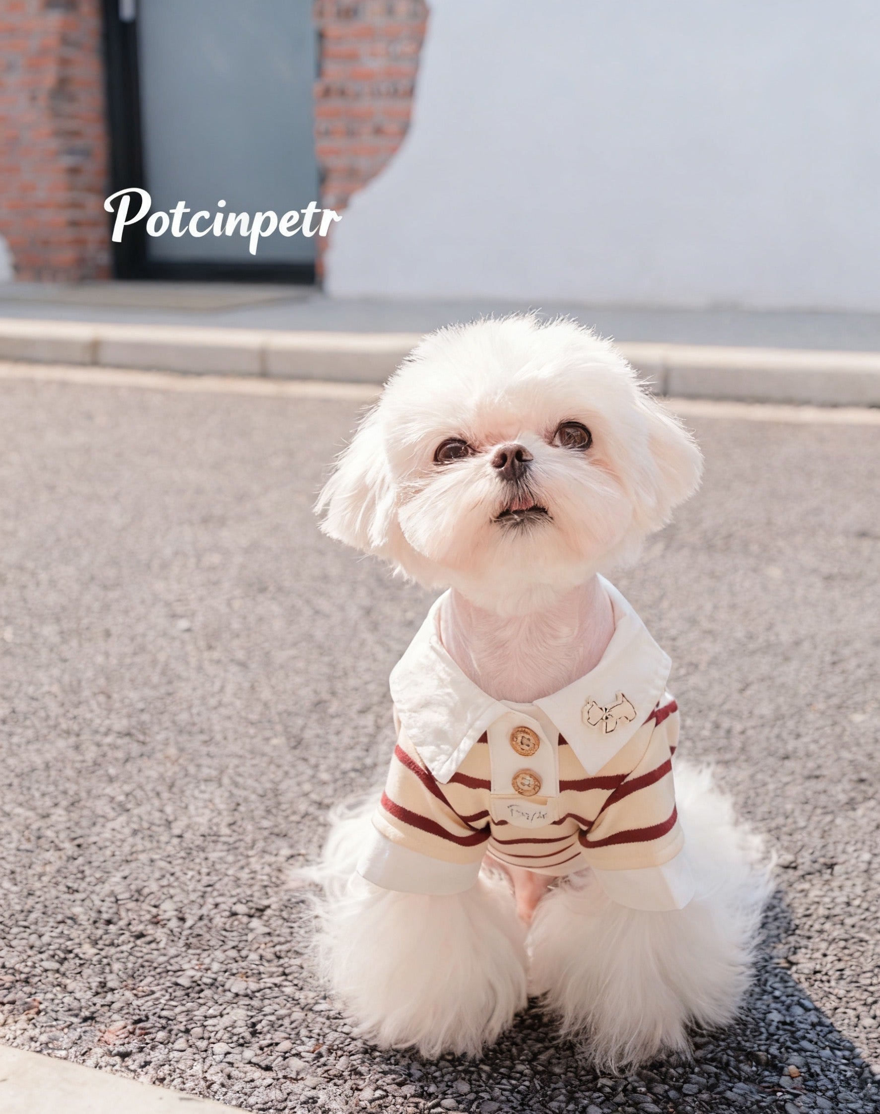 Summer striped shirt - Classic vertical pattern breathable design